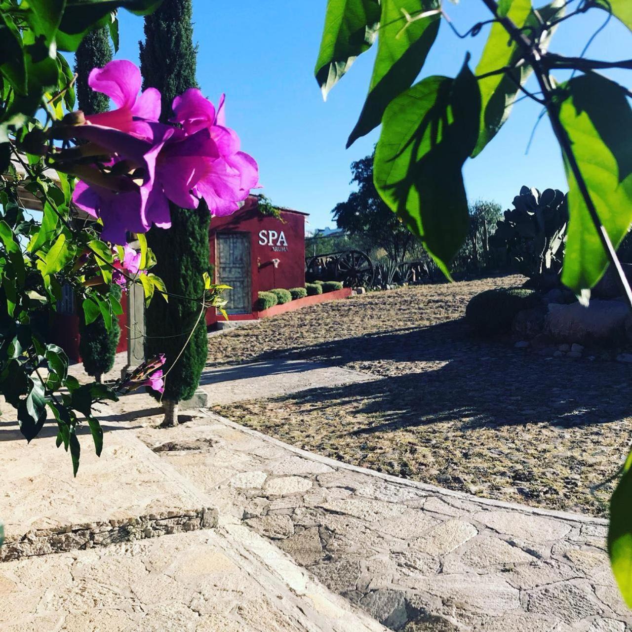 View Hotel Boutique Don Juan Xido De Abajo Экстерьер фото